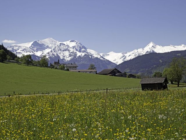 Ferienhaus Maishofen